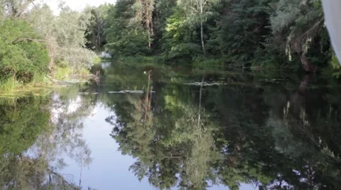 Beautiful forest lake Stock Footage 47247778