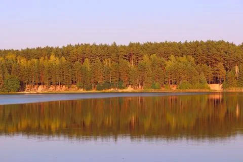 Beautiful forest lake with pine tree reflection in water Stock Photos