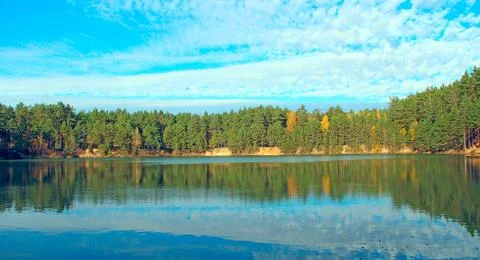 Beautiful forest lake with pine trees reflection under blue sky. Stock Photos