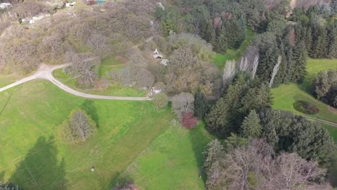 Beautiful Forest Landscape Captured From High Altitude Drone Camera Flight Today Vidéo 334803328