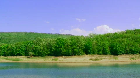 Beautiful forest landscape Stock Footage