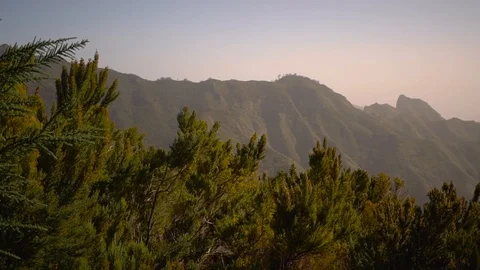 Beautiful forest landscape with mountain range. Tropical forest. Vegetation Stock Footage 125769776