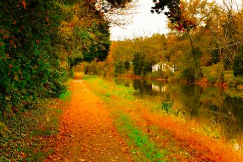 Beautiful forest landscape. Foto stock