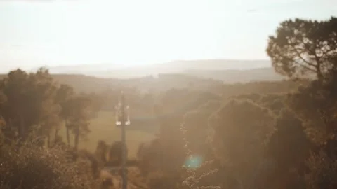 Beautiful forest landscape in the rays of the setting sun. Golden hour in the Video stock 147209082