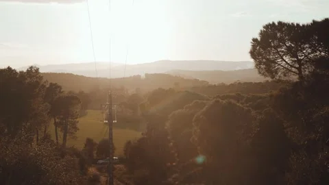 Beautiful forest landscape in the rays of the setting sun. Golden hour in the Stock Footage 147329168