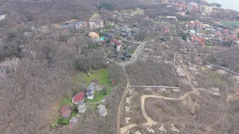 Beautiful Forest Panorama Captured From Drone Above Rolling Video stock 332773456