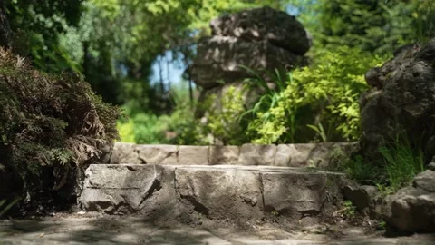 Beautiful forest path as panorama background 스톡 동영상 199256013