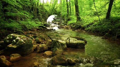 Beautiful forest river with 3d earth globe rotation Видео 229934169