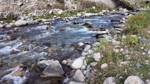 A Beautiful Forest River Flowing Between Rocky Shores, with Slow Motion Wate Stock Footage 288464192
