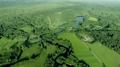 Beautiful forest river Stock Footage 66687083