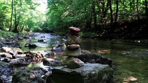 Beautiful forest river in summer time .perfect place for meditation Stock-Footage 135825150
