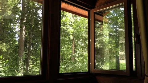 Beautiful forest seen through windows of mountain cabin in summer Stock Footage 102827513