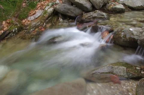 A beautiful forest stream cascading over a green lush forest Stock Photos