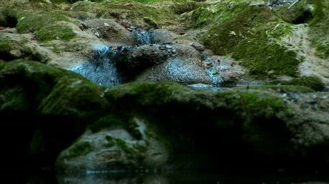 Beautiful forest. Stream Flows. Zoom out. Видео 526927