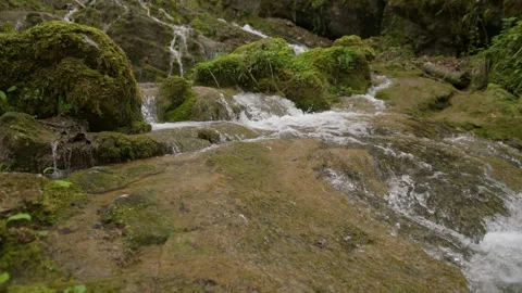 Beautiful forest stream pan camera movement Stock Footage 341605105