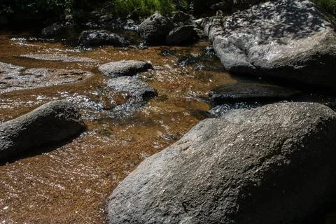 Beautiful forest stream 写真素材