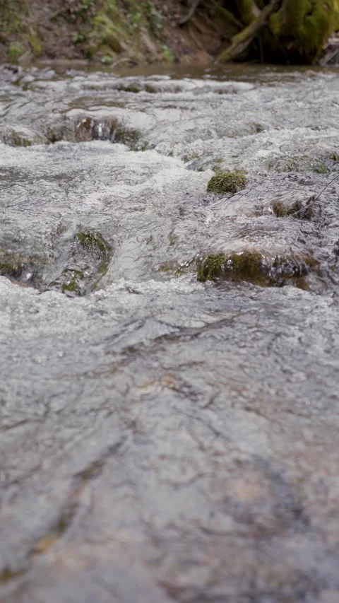 Beautiful forest stream in slow motion vertical background Stock Footage 341830301