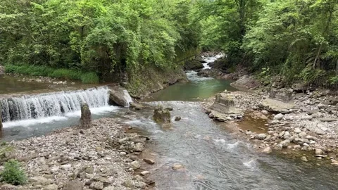 Beautiful Forest Stream Small Waterfall Rushing Down Rocky Riverbed 動画素材 335256826