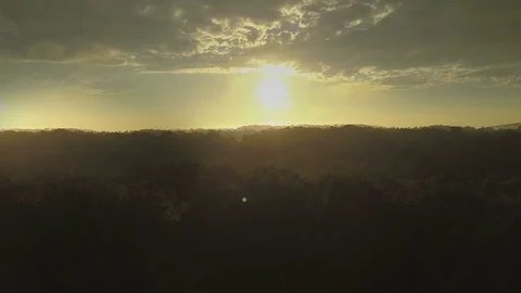 Beautiful Forest Sunset Aerial Stock Footage 79010597