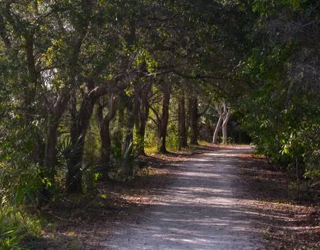 Beautiful Forest Trail Stock Photos