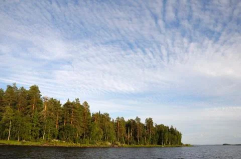 Beautiful forest under the clouded sky Stock Photos