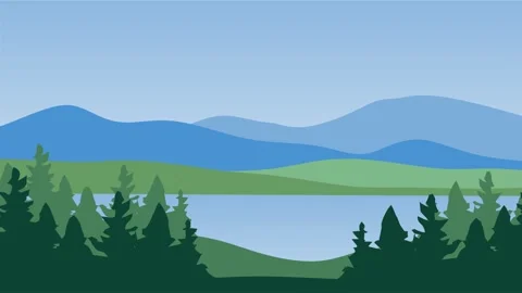 Beautiful forest view with lush trees Stock Footage 323339144