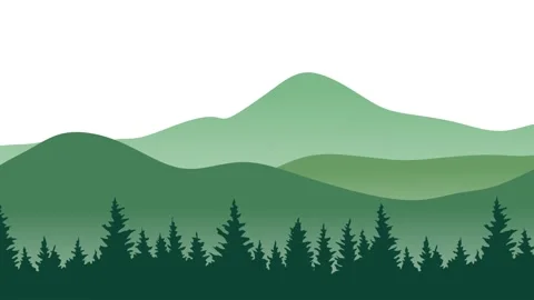Beautiful forest view with lush trees Video stock 323339146