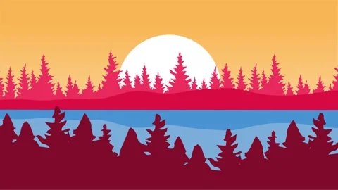 Beautiful forest view with lush trees Stock Footage 323339170