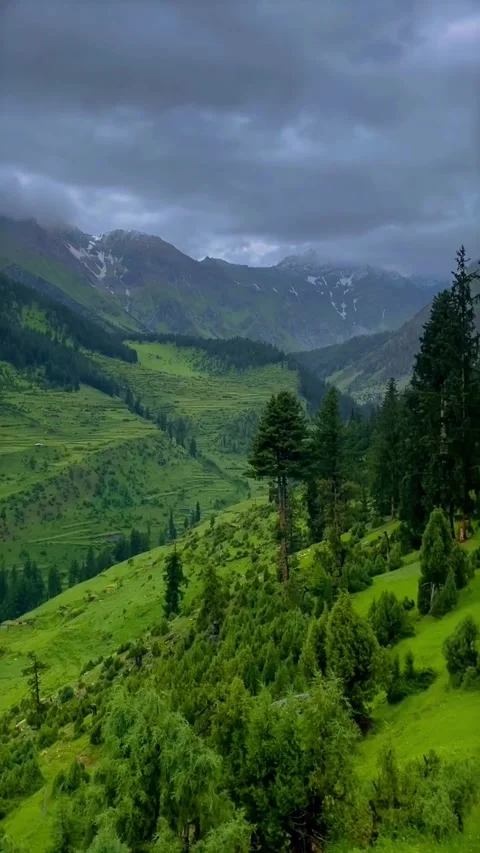 BEAUTIFUL FOREST VIEW OF SKARDU Stock Footage 323870164