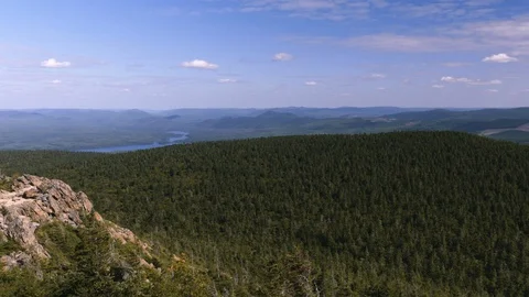 Beautiful Forest View from the top of a Mountain. Stock Footage 94500387