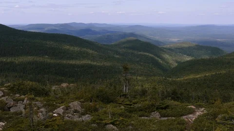 Beautiful Forest View from the top of a Mountain. Stock Footage 94500411