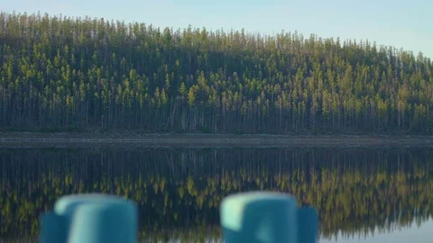 Beautiful forest, view from the water with reflection Stock Footage 79128515
