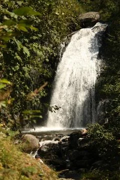 Beautiful forest waterfall cascading over rocks into a stream Stock Photos