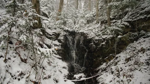 Beautiful forest waterfall during snowfall. Snowbound trees swaying on cold wind Stock Footage 326093831