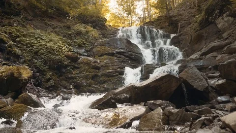 Beautiful Forest Waterfall Видео 77031632