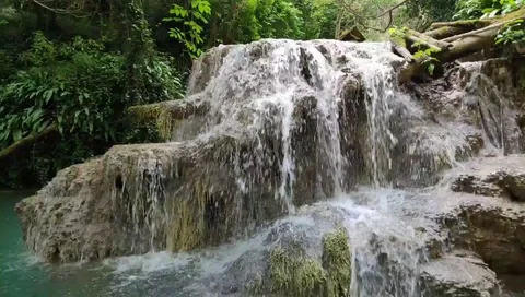 Beautiful forest waterfall Stock Footage 113861061