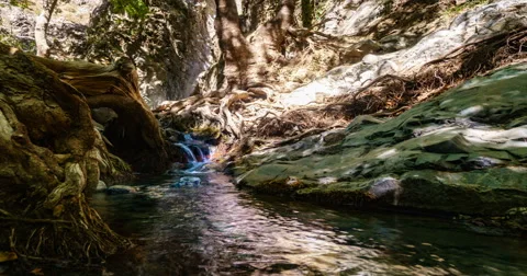 Beautiful Forest Waterfall Time Lapse Video stock 66785554