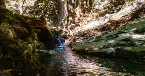 Beautiful Forest Waterfall Time Lapse Stock Footage 66788702