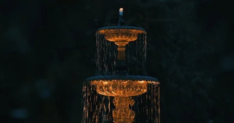 Beautiful fountain at night through trees 스톡 동영상 118994953