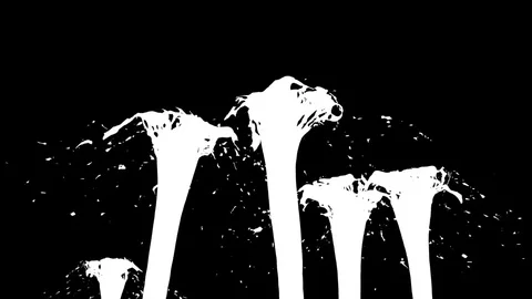 Beautiful fountain spray liquid like grey juice, fountain with many liquid Stock Footage