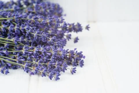 Beautiful fragrant lavender bunch in rustic home styled setting with copy spa Stock Photos