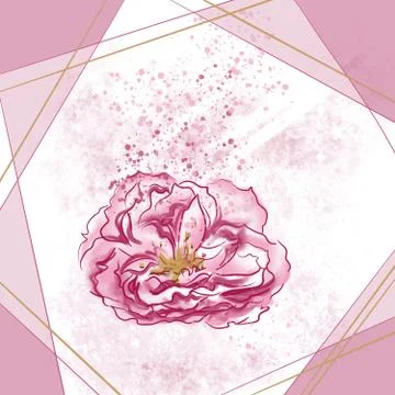 Beautiful fragrant rose in a frame decor Stock-Illustration
