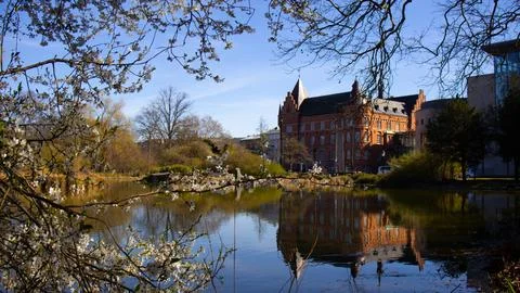 Beautiful frame of tree branches in bloom over old castle Stock Photos