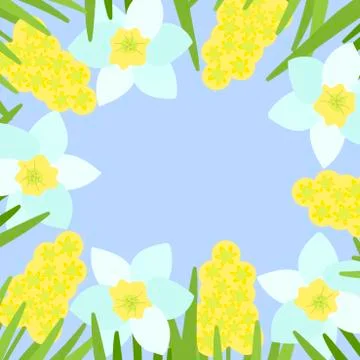 Beautiful frame with white daffodils and hyacinths. Vector floral design for  Stock Illustration
