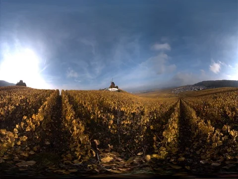 Beautiful French Vineyard 360VR Stock Footage