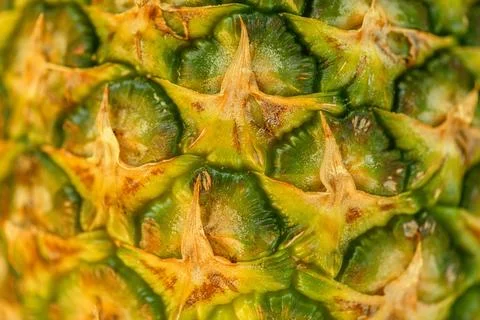 Beautiful fresh pineapple fruit close-up Stock Photos