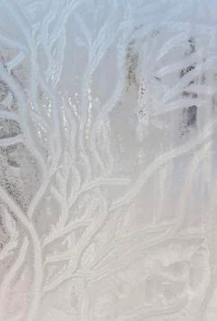 Beautiful frost pattern on a window. Stock Photos