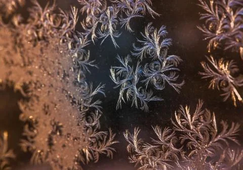Beautiful frosty natural pattern on winter window Stock Photos
