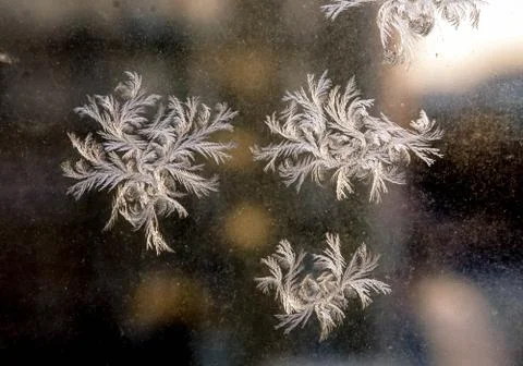 Beautiful frosty natural pattern on winter window Stock Photos