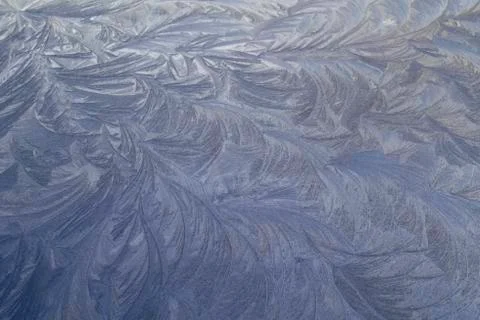Beautiful frosty pattern an equal surface in winter morning. Stock Photos